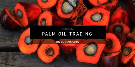 Overcoming Challenges in Palm Oil Trading: