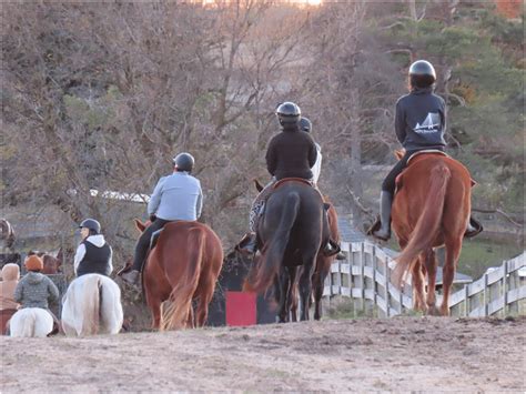 Overcoming Fear and Building Trust: Building Confidence in Equestrian Adventure