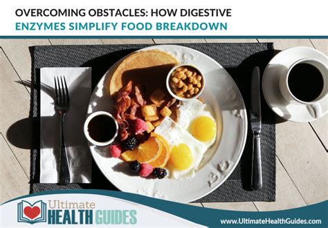 Overcoming Health Obstacles: Exploring Surgery Choices for Digestive Health