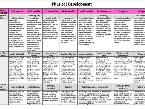 Overview of Nina Shari: Background, Year of Birth, Physical Dimensions