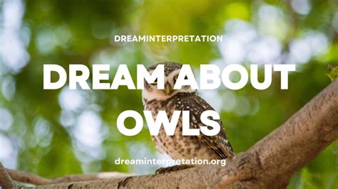 Owls as Messengers of the Subconscious Mind in Dream Symbolism