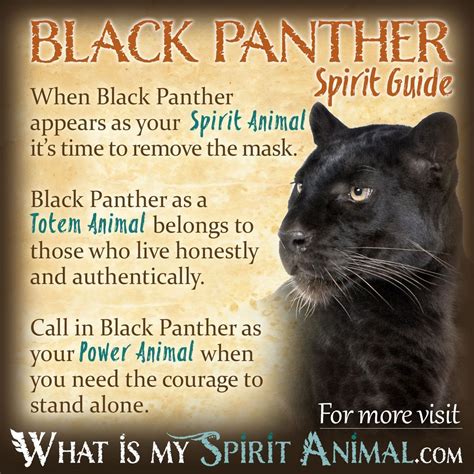 Panther Dreaming Across Cultures: A Look into Symbolism and Meanings