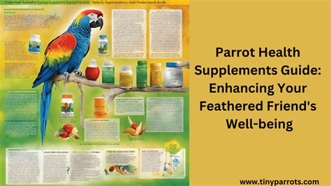 Parrot Health and Care: Tips for Maintaining Your Feathered Friend's Well-being