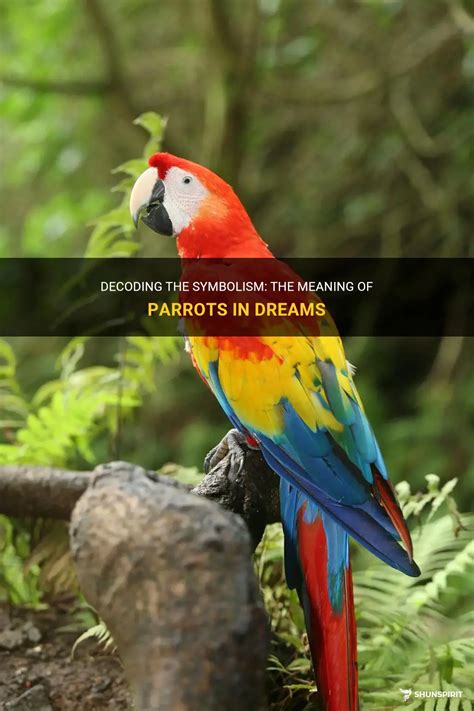 Parrots in Dreams: Symbolism and Interpretation