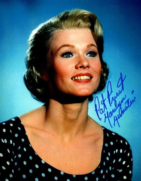 Pat Priest's Current Projects and Ventures