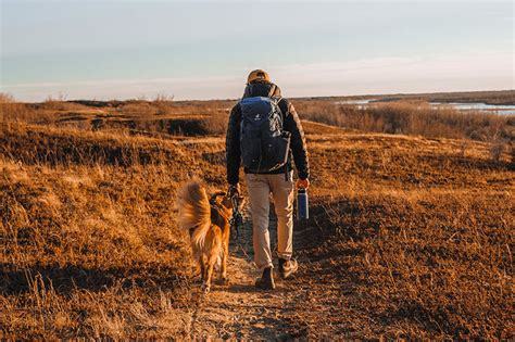 Paws for Adventure: Exciting Activities to Enjoy with Your Canine Pal