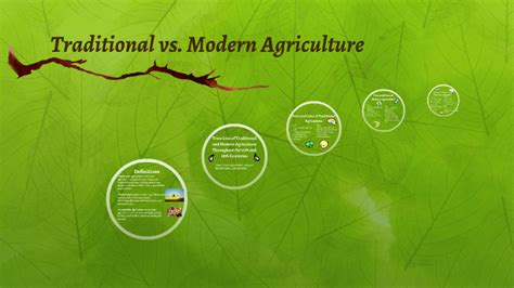 Peanut Trees in Ancient and Modern Agricultural Practices