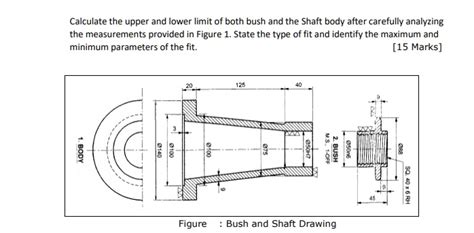 Pearl Bush Figure: Body Measurements Revealed