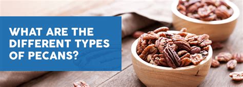 Pecan Varieties Unveiled: A Comprehensive Overview