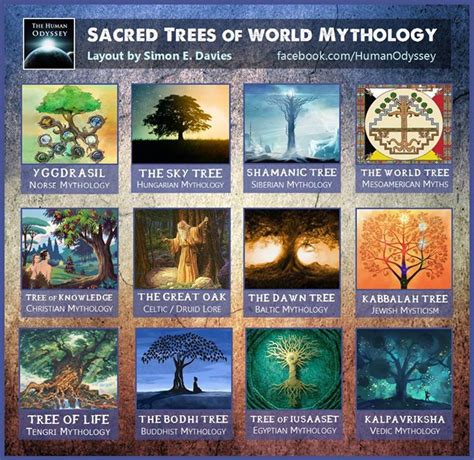 Pepper Trees in Mythology and Folklore: Tales of Magic and Protection