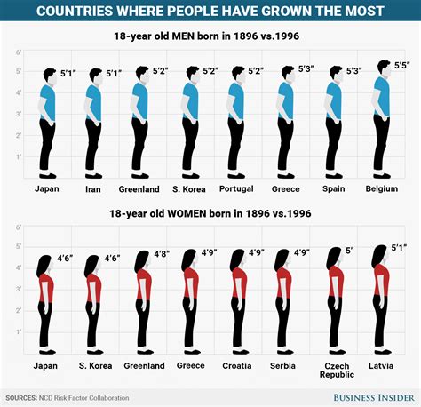 Personal Details - Years, Tallness, Shape, Assets 