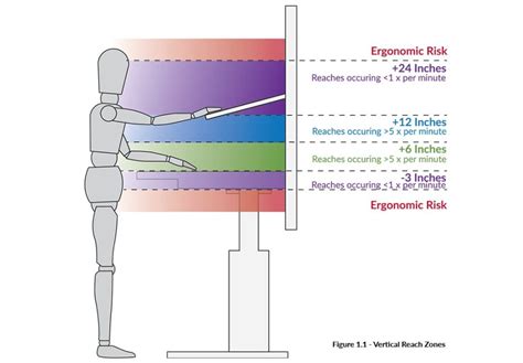 Personal Details - Years on Earth and Vertical Reach