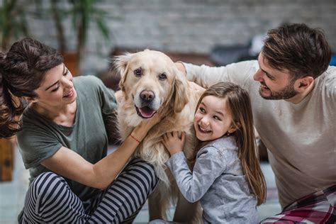 Personal Life: Family, Relationships, and Pets