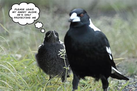 Personal Life of Magpie: Relationships and Family