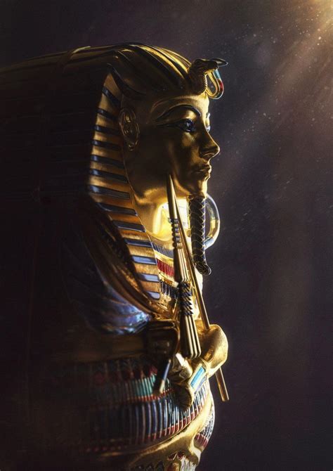 Pharaoh Body's Educational Background and Professional Journey