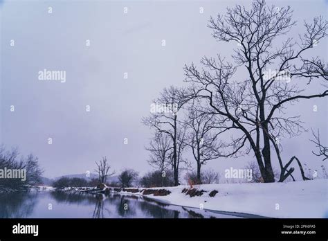 Photographing the Enchanting Beauty of Pristine Snowscapes