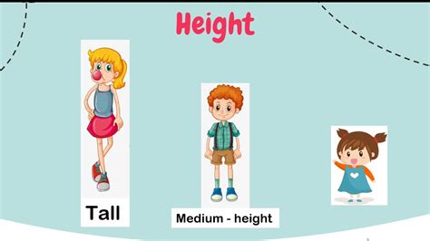 Physical Appearance: Tallness and Shape