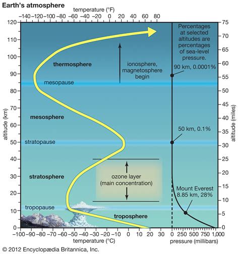 Physical Appearance: Years on Earth and Vertical Measurements