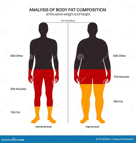 Physical Attributes & Body Composition