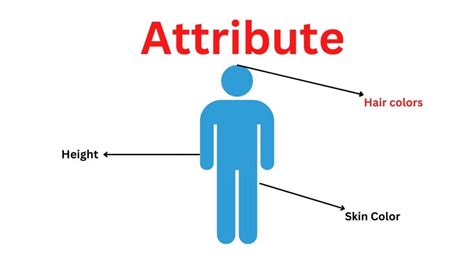 Physical Attributes and Important Numbers