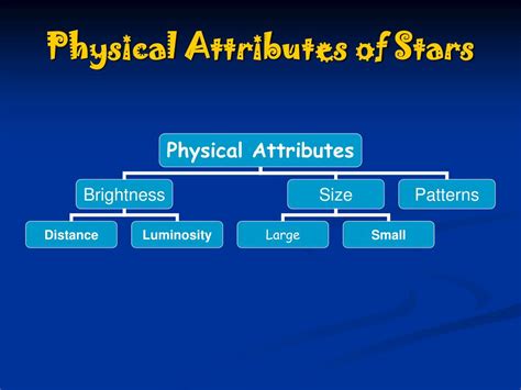 Physical Attributes and Vital Statistics of the Talented Star 