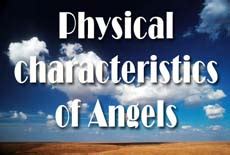 Physical Attributes of Angel West