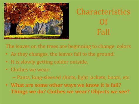 Physical Attributes of Autumn Viviana