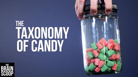 Physical Attributes of Candy Samples