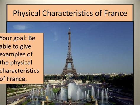 Physical Attributes of Paris Milan