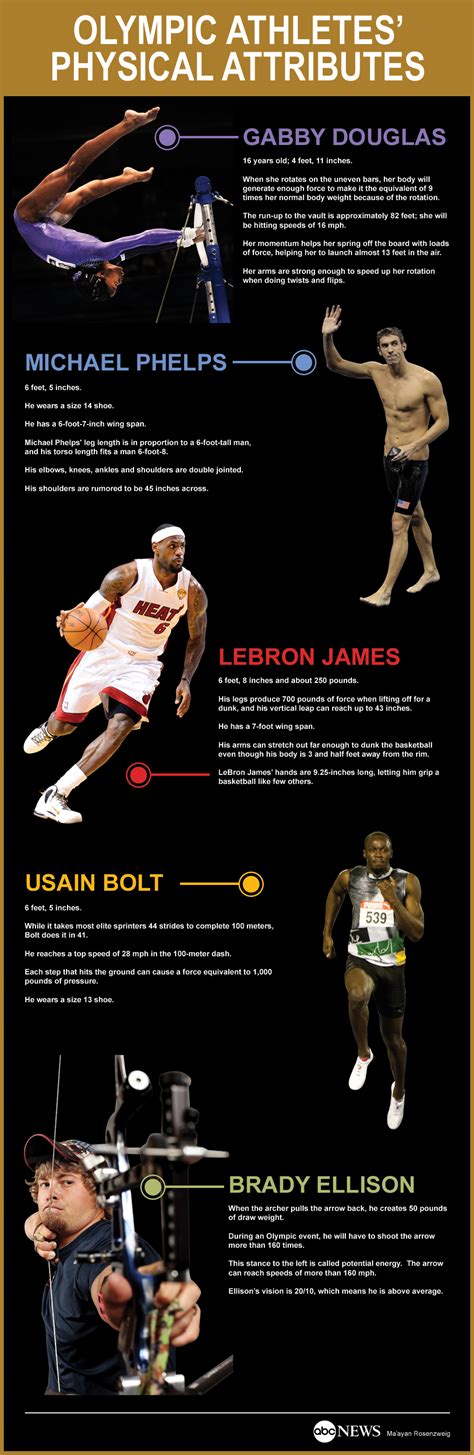 Physical Attributes of the Esteemed Athlete