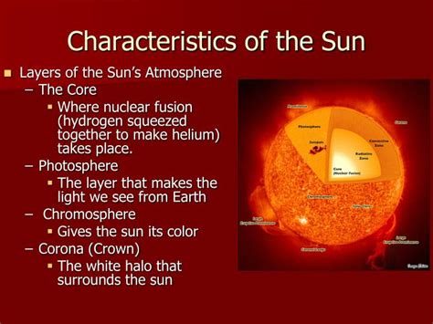 Physical Characteristics of Dany Sun