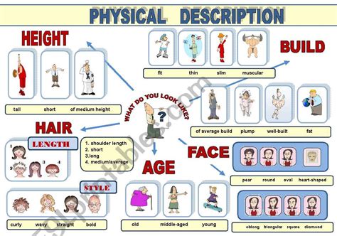 Physical Description and Height of the Talented Individual