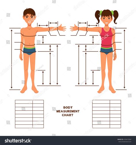 Physical Dimensions and Body Structure