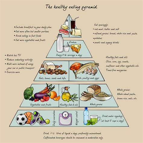 Physical Exercise Regimen and Nutritional Routine