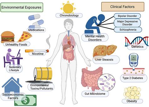 Physical Factors: Illnesses and Medications