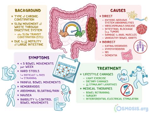 Physical Health Conditions That Can Impact Dreams Involving Bowel Function