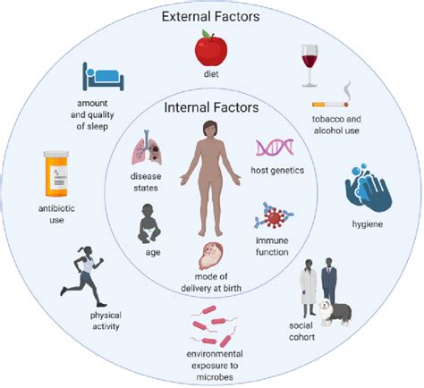 Physical Interpretations: Health Conditions and External Influences