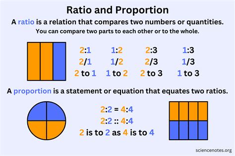 Physical Stats and Proportions