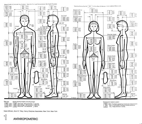 Physical Statues and Measurements