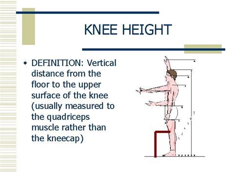 Physical Stature: Becca Bucca's Vertical Dimension