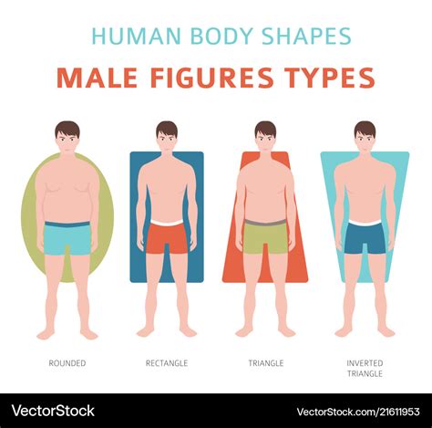 Physical Traits and Body Shape