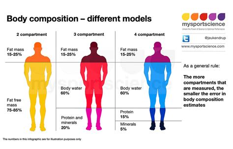 Physique: Exploring Samantha's Body Composition