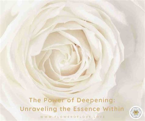 Piecing It Together: Unraveling the Essence Within