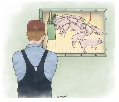 Pig Pens and Personal Relationships: Examining the Symbolism