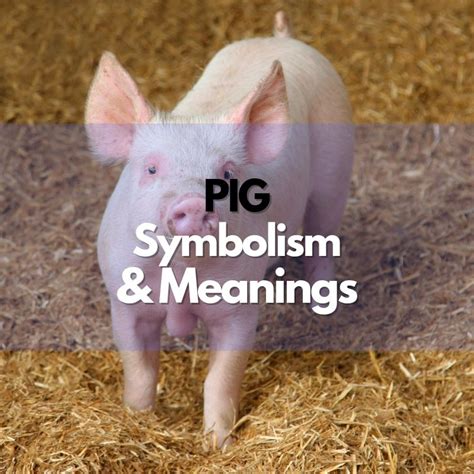 Pig Symbolism in Different Cultures