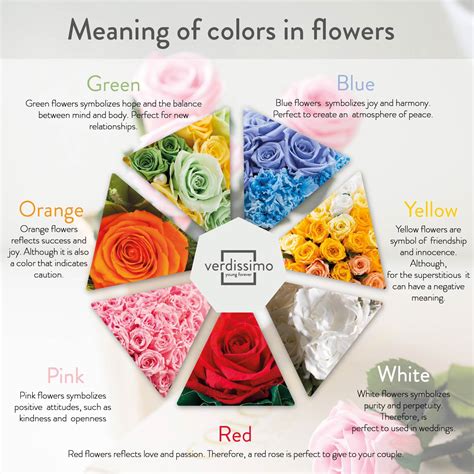 Pink Roses in Different Cultures: Significance Across Diverse Traditions