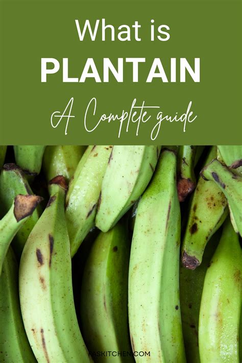 Plantain 101: A Beginner's Guide