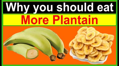 Plantain as a Healthy Alternative: Nutritional Benefits You Should Know