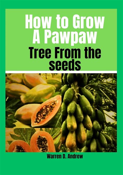 Planting and Nurturing Your Pawpaw Plant: A Comprehensive Guide to Achieving Success