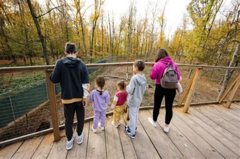 Pond Fishing: A Family-Friendly Activity That Creates Lasting Memories